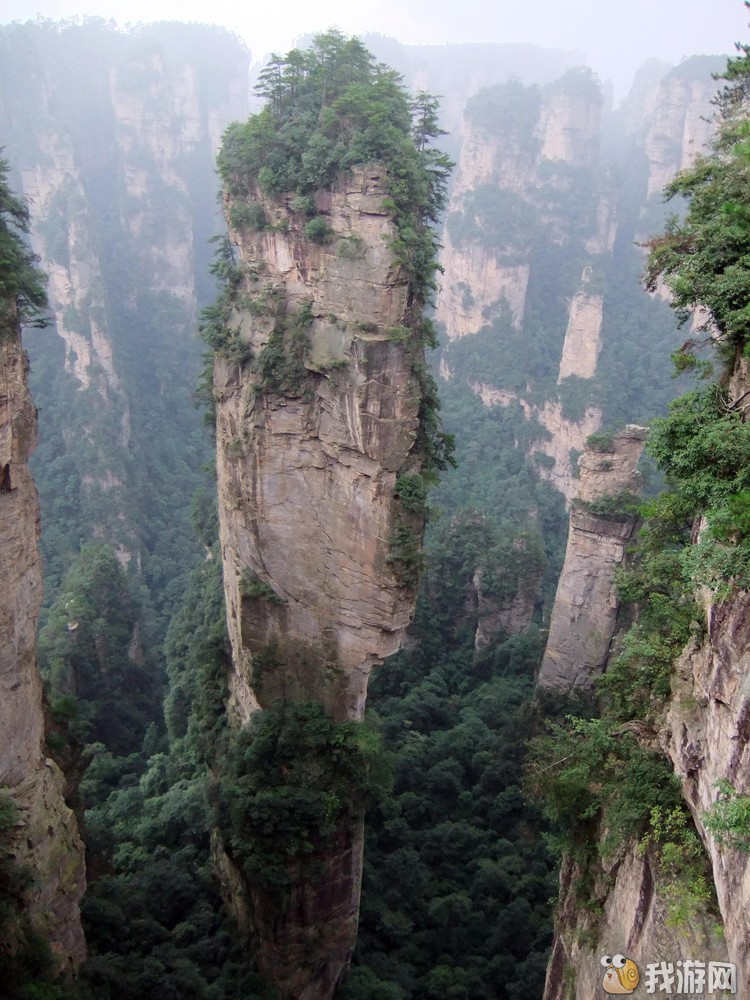 阿凡达乾坤柱.jpg